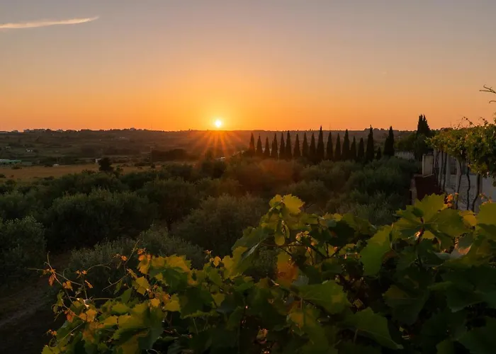 Albina & Domenica * זאדאר