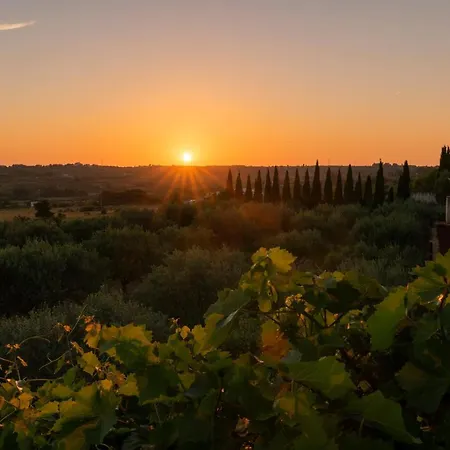 Albina & Domenica * Zadar